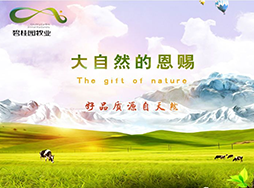 案例|碧桂园